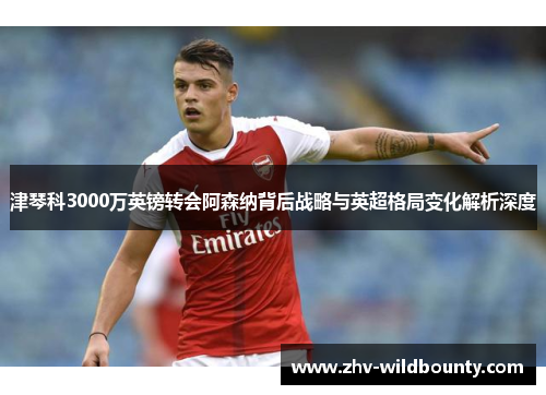 津琴科3000万英镑转会阿森纳背后战略与英超格局变化解析深度