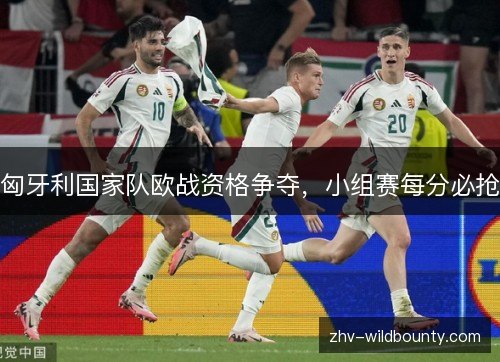 匈牙利国家队欧战资格争夺，小组赛每分必抢